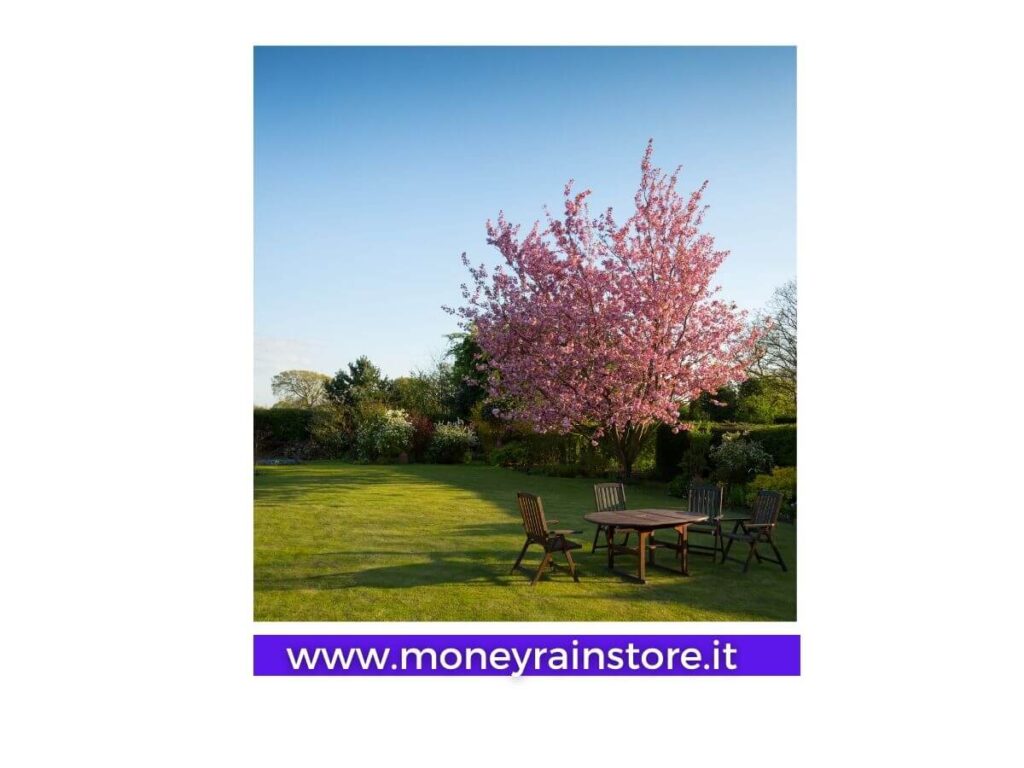 Come seminare il tappeto erboso; l'immagine mostra un meraviglioso giardino molto grande con tavolo e sedie e un pesco in fioritura